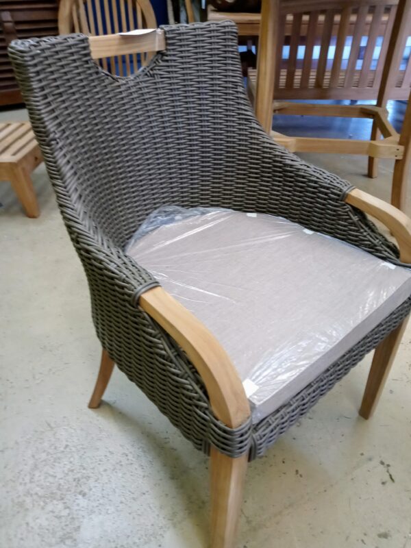 Paseo Chair - Light Tan cushion