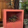 Oka nightstand 1 drawer - Mahogany coral